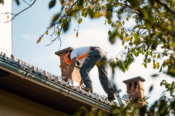 Best Flat Roof Repair Services  in Montclair, VA