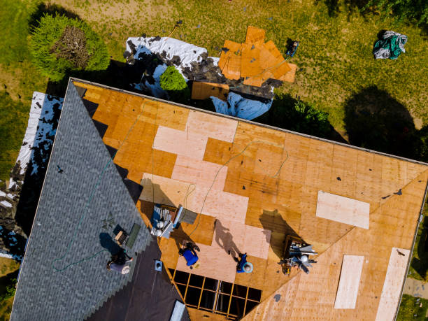 Best Roof Gutter Cleaning  in Montclair, VA